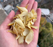 方家铺子中华老字号 六星大片百合干220g 桂圆莲子银耳枸杞羹煲汤食材 实拍图