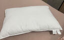 维克多（VCD）羽绒枕匈牙利95鹅绒枕羽毛枕希尔顿枕头同款设计五星级酒店枕头 实拍图