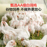 1号会员店 单冻鸡翅中组合 2斤装（奥尔良腌料包70g+鸡翅中930g） 实拍图