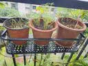 京维美居花架阳台置物架悬挂式装饰花盆架户外绿萝现代简约栏杆多肉花架 长50-宽20-高12 实拍图