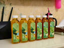 一杯香茉莉花茶饮料无糖0糖0脂0卡可冷泡茶叶饮品整箱520ml*15瓶 实拍图
