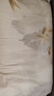 百丽丝水星家纺出品对枕套60S全棉100%枕头套A类床上用品高密贡缎透气 实拍图