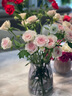 京东鲜花 高级感轻奢敞口花瓶摆件餐桌客厅插花鲜花玫瑰芍药水培水养玻璃 实拍图