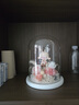 依雯然（Ivenran）生日礼物女士永生花礼盒伴手礼高级摆件结婚新婚订婚女生小众实用 实拍图