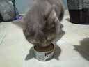 维倍思VET'SBEST绿十字猫罐头排毛化毛猫咪零食成猫补水鸡肉主食罐头85g 实拍图