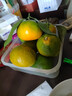 兀果语2025年云南密桔酸桔子当季薄皮橘子孕妇新鲜水果爆汁无核青 1斤 实拍图