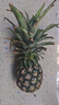 金钻凤梨17号海南新鲜水果无眼菠萝热带水果当季 净重3斤中果 单果650g起 约2-3个 实拍图