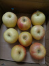 辽宁本地头茬嘎啦苹果脆甜新鲜 带箱约2斤，净果1.7斤 实拍图