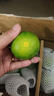 柏馋青皮橘子 云南蜜桔青桔子酸橘子新鲜应季孕妇水果 5斤 净重4.5斤实惠装 实拍图