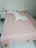 博星娜水洗棉四件套公主风床单被套卧室家用宿舍三件套被罩床罩 可爱萌宠-米【软糯亲肤 舒适裸睡】 2.0m床裙款四件套-被套220*240cm 实拍图