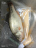 海名威 宁德黄花鱼600g/条 大黄鱼 深海鱼 生鲜鱼类 海鲜水产 中秋 实拍图