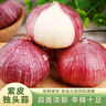京喜自营云南蒜独头蒜调料京东买菜蔬菜新鲜独头蒜 【14个独头蒜】总重 50g 单果1.5-2cm 实拍图