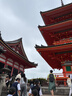 京选 30W苹果16/17 iphone充电器套装氮化镓快充充电头+2条Type-C数据线1.5米 实拍图