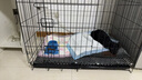 宠乐乖（CHONGLEGUAI）狗笼猫笼狗笼子中小型犬带厕所幼犬折叠便携猫笼子猫咪兔笼850ZG 实拍图