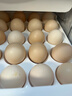 我老家 农家谷物鸡蛋 山林散养初生蛋鲜鸡蛋 30枚装1200g 实拍图