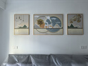 诗六艺家饰客厅装饰画北欧现代简约沙发背景墙挂画三联画大气轻奢壁画晶瓷画 福禄有幸（铝合金外框） 晶瓷画左右50*70+中间100*70亮面 实拍图