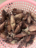 新鲜速冻笔管鱼 鲜嫩海捕海兔小管鱿鱼 连云港产地直发 2500g(净重)  5斤5包 实拍图