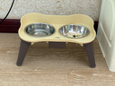 休普狗碗高脚宠物食盆食具狗饭碗防打翻不锈钢狗盆围边桌子奶黄色M码 实拍图
