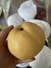 爱鲜摘农场正宗山西玉露香梨新鲜梨子水果顺丰礼盒当季整箱香酥梨雪梨 5A 精选果 |单果150-200g【甜】 3斤装【实惠尝鲜】较划算 实拍图