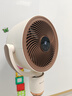 夏普空气循环扇电风扇落地扇自动摇头直流变频轻音无躁台立两用智能语音遥控定时换气扇对流涡轮扇 PJ-CD420A-W【语音+负离子+滤网净化】 实拍图