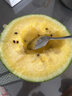 小兰黄瓤冰淇淋西瓜1.5kg 实拍图