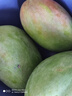 京鲜生 攀枝花凯特芒果 净重4.5斤 带箱5斤 单果400g+ 生鲜水果源头直发 实拍图