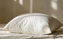 海澜之家（HLA）全棉枕芯可水洗枕头五星级羽丝绒枕颈椎枕睡眠48*74高枕一只装 实拍图