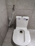 星雨洁 台式蹲便器 坐便器马桶改蹲坑免砌台安装陶瓷水箱一体防臭大便器 300坑距存水弯款带喷枪（包安装-不拆旧） 实拍图