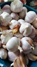 山东大蒜干蒜新鲜白皮精品大蒜 大蒜 1斤 10到13头小果3-4厘米 实拍图