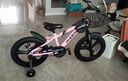 凤凰（Phoenix）儿童自行车男女宝宝脚踏车3-8-12岁儿童山地车14-18-22寸小孩单车 极氪一体轮+ 迷人粉+ 悍马辅助轮 18寸适合身高（120-150cm） 实拍图