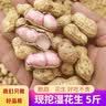 囧仙子现挖现发湿花生2026新鲜生花生农家种植带壳落花生饱满1-5斤 5斤 现挖鲜花生 实拍图