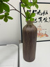 京东鲜花 复古陶瓷花瓶插干花陶罐客厅装饰陶艺花器禅意粗陶花艺摆件 实拍图