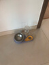憨憨乐园猫碗双碗猫咪喝水碗猫食盆斜防打翻饭盆狗碗宠物用品 实拍图