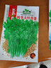 花语笙默四季播种蔬菜种子家庭种菜盆栽田园地栽菜种易种植易生长瓜果菜籽 四季大叶香菜种子（约900粒） 原厂封装1袋 实拍图