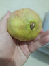 愉果（yuguo）突尼斯软籽石榴水果花皮果 新鲜水果生鲜礼盒 2斤尝鲜装净重1.8斤 单果3-5两 实拍图