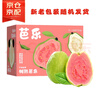 京鲜生 红心珍珠芭乐 番石榴 净重3斤 单果150g+ 生鲜水果水果礼盒 实拍图