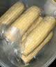 京觅 东北水果玉米粒 甜玉米粒80g*10袋 开袋即食低脂零食 源头直发 实拍图