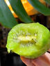 式果礼江山徐香猕猴桃【顺丰】衢州特产绿心弥胡桃奇异果泥猴桃水果礼盒 净重4.5斤 中果【单果70g+】 实拍图
