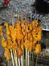 云山半&京觅 四合一东北烧烤撒料92g 香辣五香烧烤调料芝麻孜然粉组合 实拍图