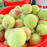 璞煜苑【现摘】正宗山东青州蜜桃 春雪蜜桃脆甜离核秋桃小毛桃桃子净重 4.5-5斤精选 实拍图