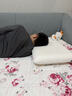 嘉唯（JAHVERY） 【双倍柔酥】记忆棉枕头深度成人睡眠颈椎护颈枕睡觉护颈专用 牛奶丝安眠枕 60*40*8cm 实拍图
