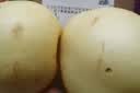 正宗河北皇冠梨饶阳皇冠梨产地直发单果180g+ 皇冠梨带箱4斤净重3.5斤 实拍图