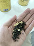 乐品乐茶茉莉飘雪茉莉花茶叶冷泡特级浓香碧螺春2025新茶横县新茶绿茶250g 实拍图