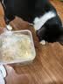 COCS冻干鸡肉粒猫零食冻干桶鸡胸肉原切狗狗零食鸡肉丁猫犬粮伴侣500g 冻干鸡肉松400g 实拍图
