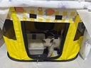 宠德多猫产房封闭式猫窝隔离围栏狗狗产床猫咪怀孕繁殖窝生育箱可折叠 黄色中号（70*50*45cm） 实拍图
