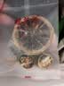 福茗源茶叶花果茶 话梅柠檬茶 水果茶冻干柠檬片酸梅汤冷泡水盒装108g 实拍图