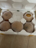 山东莱阳丰水梨 头茬脆甜梨子当季新鲜水果整箱 【99%选择】净重4.5斤单果350g+ 实拍图