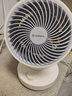 艾美特（AIRMATE）空气循环扇家用节能小型落地电风扇四季循环对流换气桌面小风扇大风量宿舍台式摇头轻音电扇 X28 实拍图