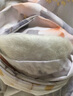富安娜蚕丝被100%柞蚕丝空调被子双人夏凉被夏季薄被芯2.6斤203x229cm 实拍图