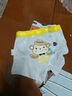 冰雪木棉儿童内裤男童5A级抑菌档青少年中大童卡通平角裤 异龙科技4条 110 实拍图